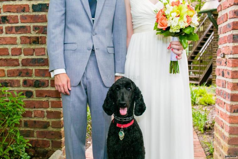 Pet Sister - Insieme al matrimonio per le foto
