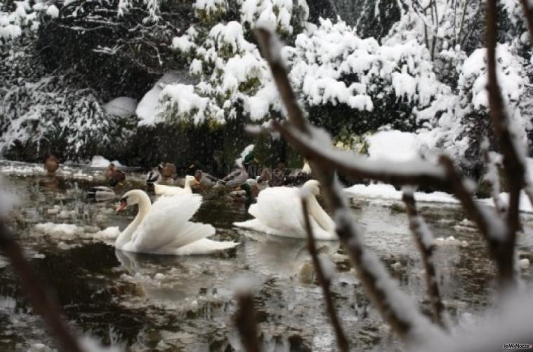 Giardino d'Inverno