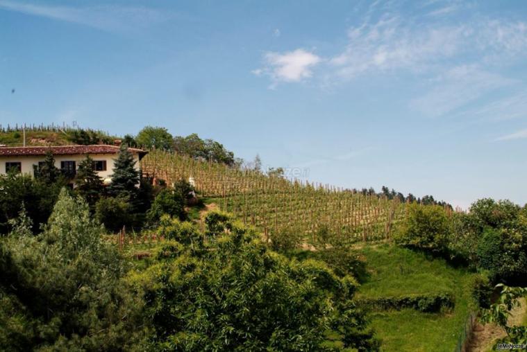 Il vigneto