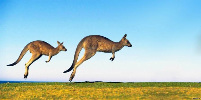 Australia - Emozioni nel Mondo