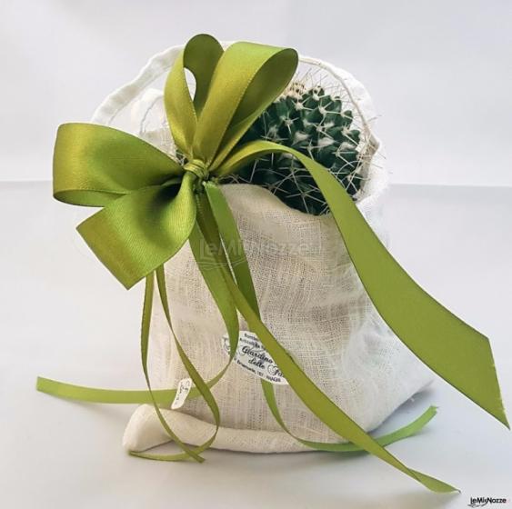 Il Giardino delle Fate - Piantine ornamentali e confezioni personalizzate