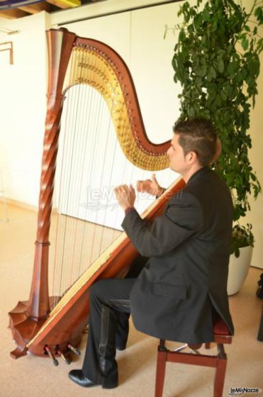Intrattenimento musicale al matrimonio con arpa