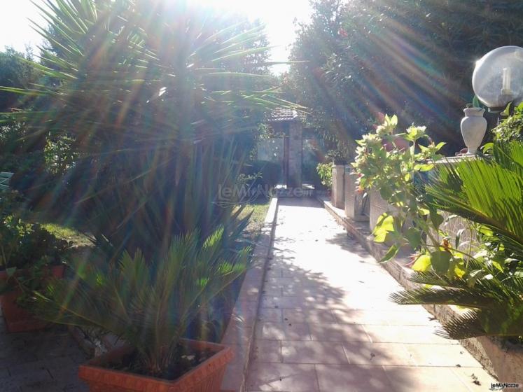 Ingresso