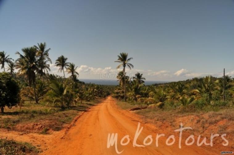 Viaggio di nozze in Mozambico