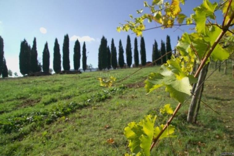 Veduta dell'agriturismo per matrimoni