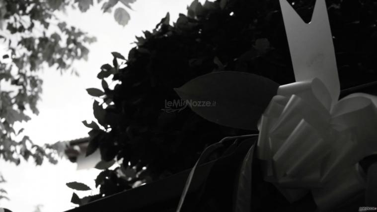 Hop-e - Fiocco bianco e nero