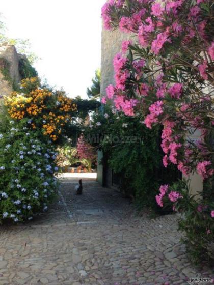 Fiori - Agriturismo Ridocco