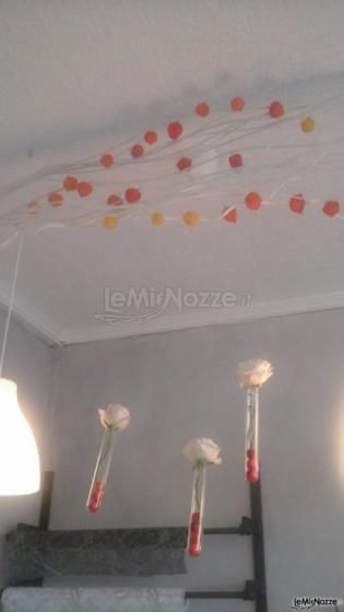 Provette appese al soffitto