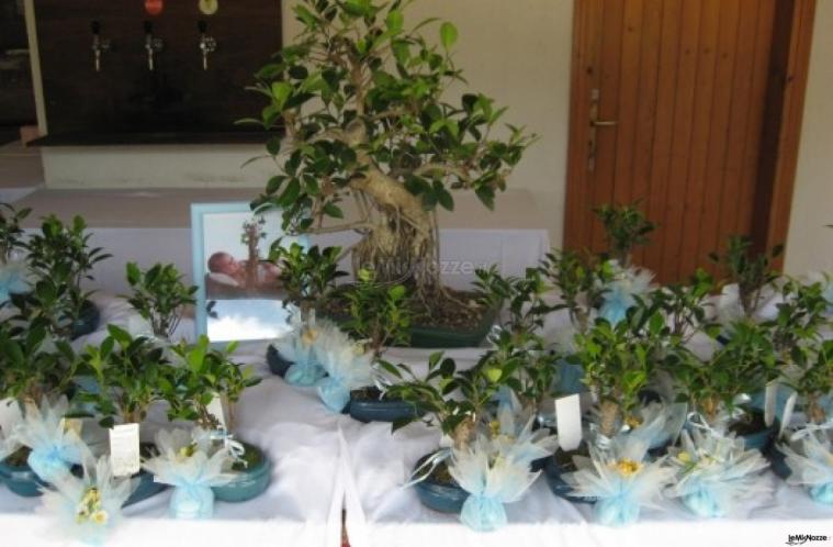 Bomboniere per gli invitati al matrimonio