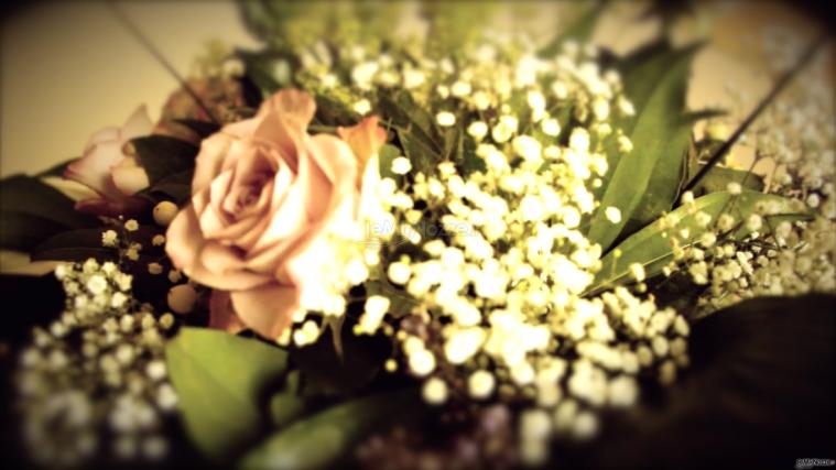Hop-e - Dettaglio fiori