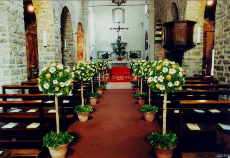 Allestimento con alberelli per la cerimonia di nozze