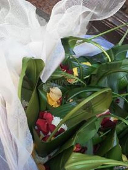 Fiori freschi