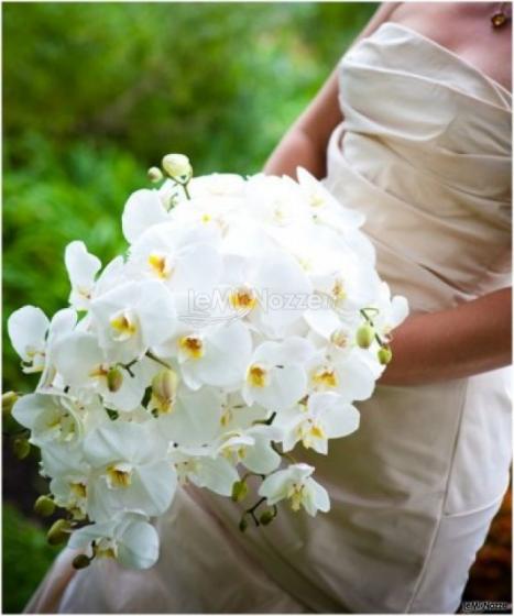 Bouquet di orchidee