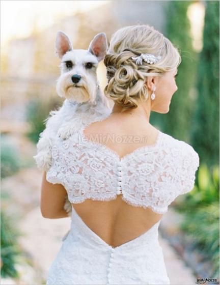 Pet Sister - Insieme alla sposa