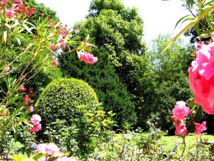 Meravigliosi fiori dai colori variopinti nei pressi della Villa Casalini